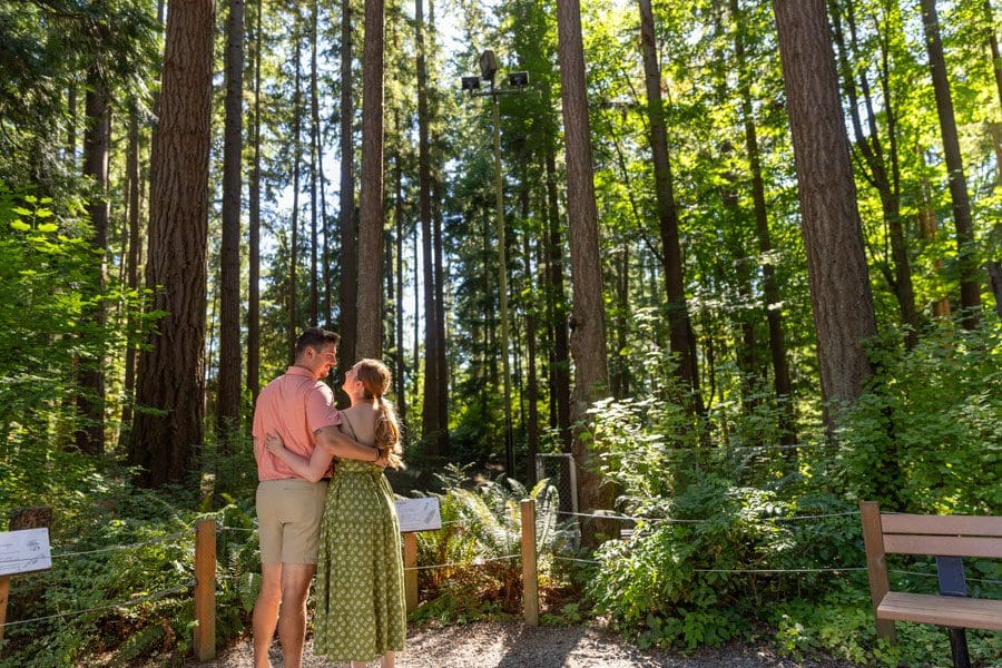 Lynnwood_LynndalePark_Couple_081823_DW_8V0A3459 A couple stands close, looking at each other in a sunlit forest surrounded by tall trees and green foliage. A bench and some signs are visible in the background, capturing a serene moment perfect for use in tourism campaigns, on websites, and in social media. Part of our Lynnwood Tourism video and photography.