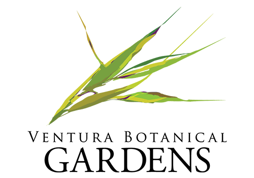 Ventura Botanical Gardens