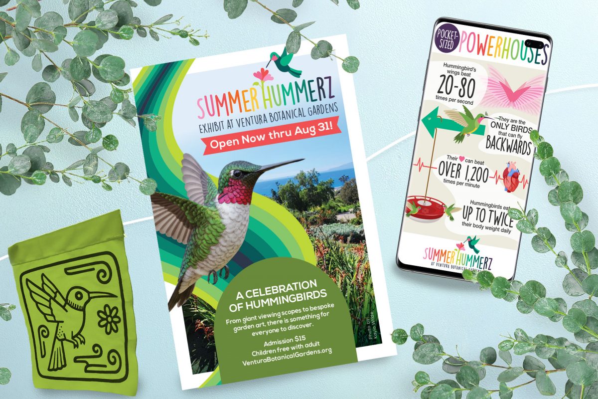 Hummingbird exhibit flyer and signage at Ventura Botanical Garden.