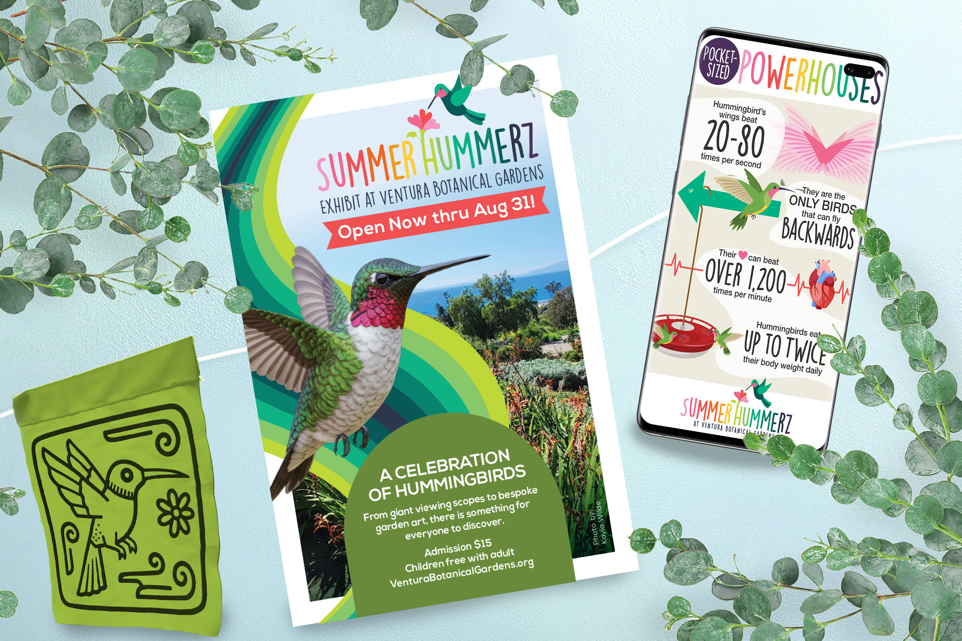 Hummingbird exhibit flyer and signage at Ventura Botanical Garden.